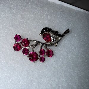 Elegant Silver and Red Crystal Brooch